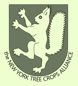 NYTCA Cooperative_Logo