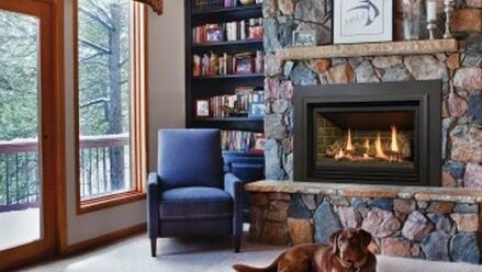 A Cozy Hearth and Fireplace with dog